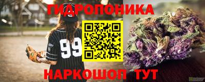 ECSTASY Аргун